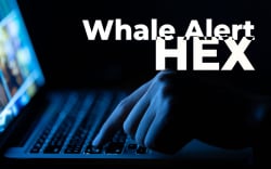 Whale Alert Removes HEX Crypto Transactions, Implying Coin’s Dubious Nature